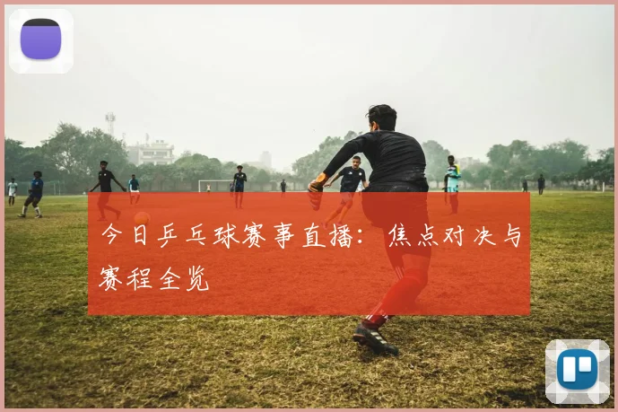 今日乒乓球赛事直播：焦点对决与赛程全览
